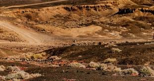 MLB》洋基吞连输6系列赛 战绩低迷让总教练爆气