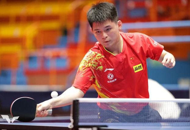 这次转会无 这次转会无